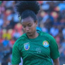 Profile photo ofSenaf